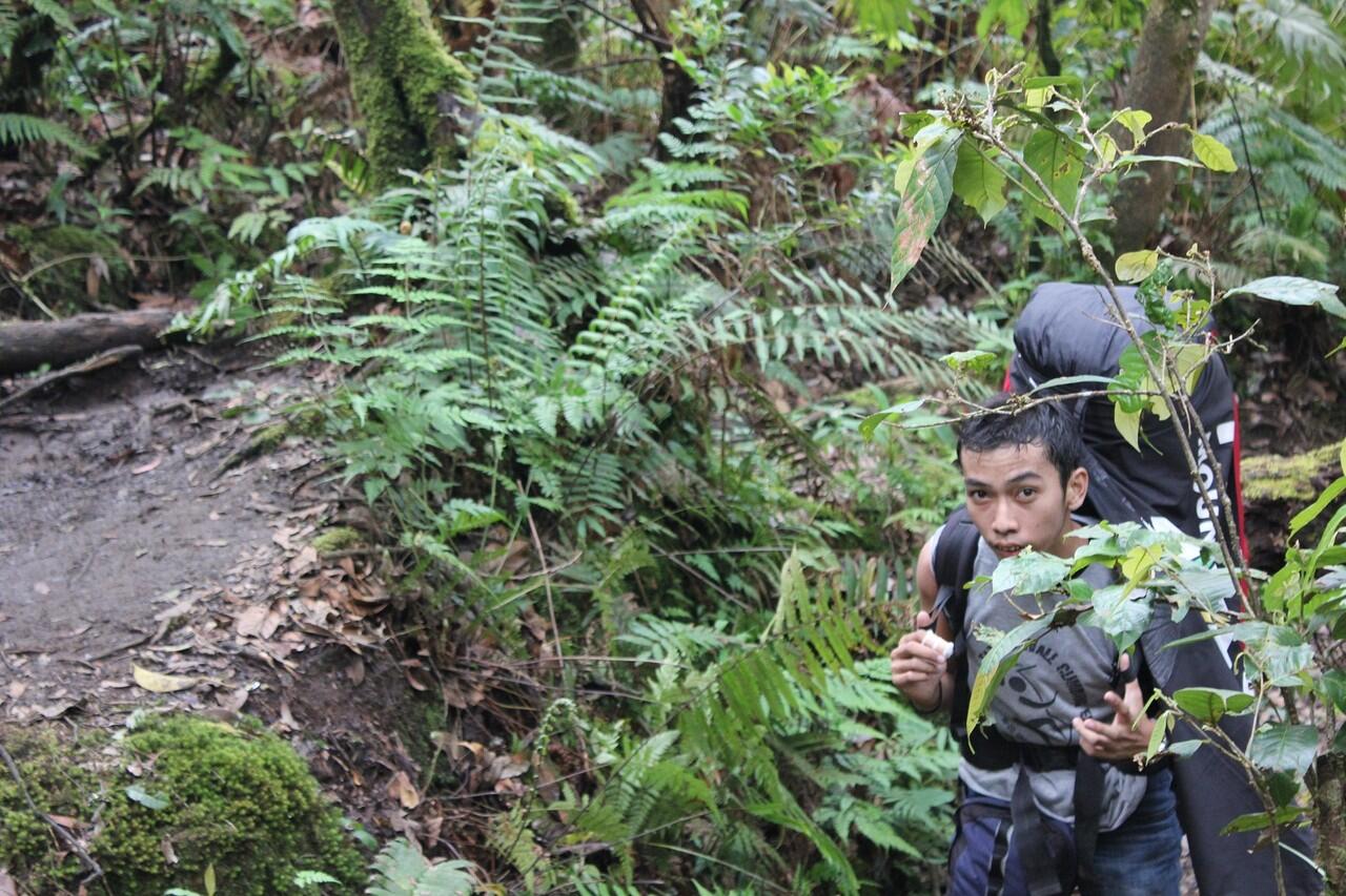 &#91;CATPER&#93; Gede-Pangrango (16-18 Mei 2012)