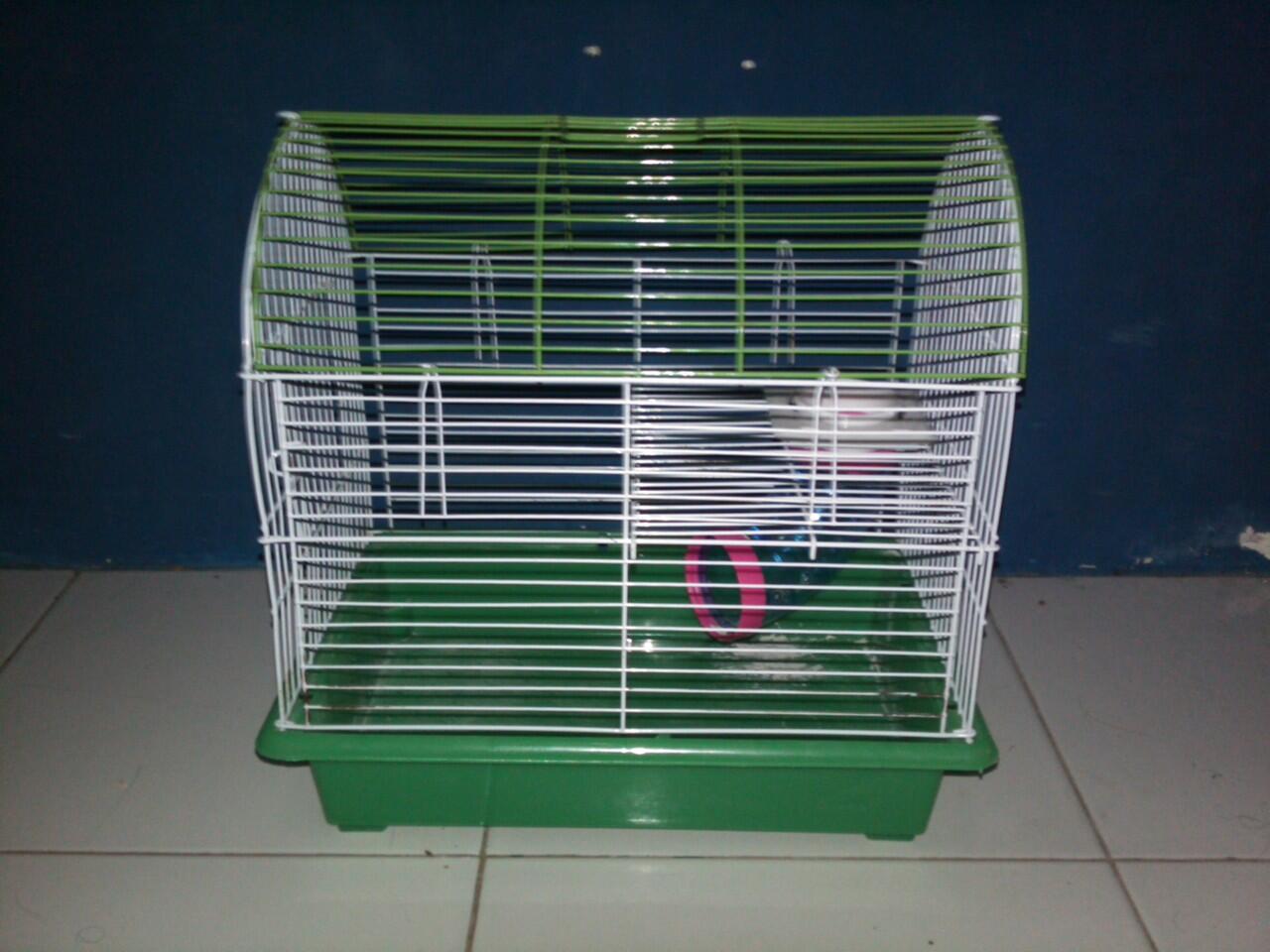 Kandang Hamster