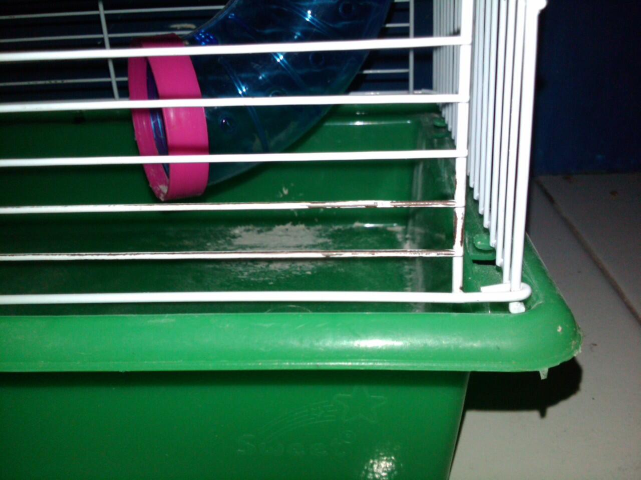 Kandang Hamster