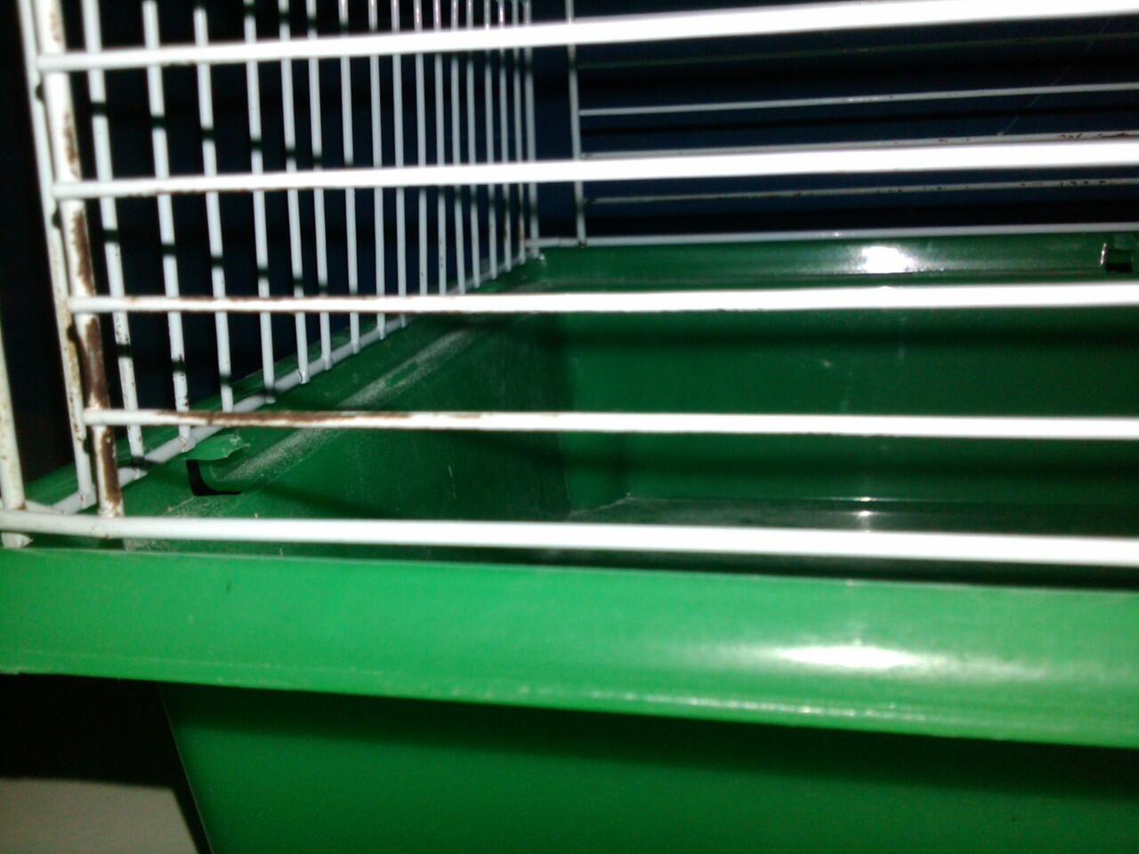 Kandang Hamster