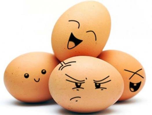 Ayam Vs Telur