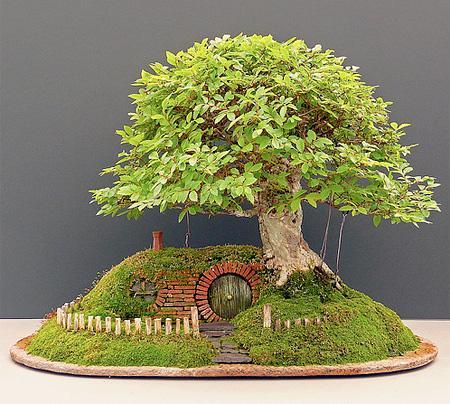 Bonsai Rumah Hobbit Yang Sangat Cantik With Pic 