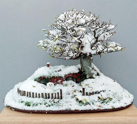 Bonsai Rumah Hobbit Yang Sangat Cantik With Pic 