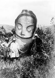 Mengenal Lebih Jauh Taman Nasional Lore Lindu aka Lembah Bada Sulteng