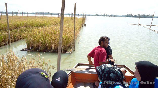 Sawah Apung Anti Banjir