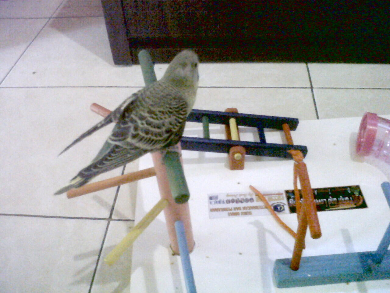 Parkit jinak dan terlatih