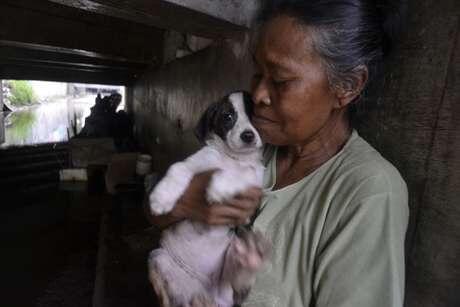 Mak Tun, Nenek Sebatang Kara Pelindung Anjing di Kolong Jembatan