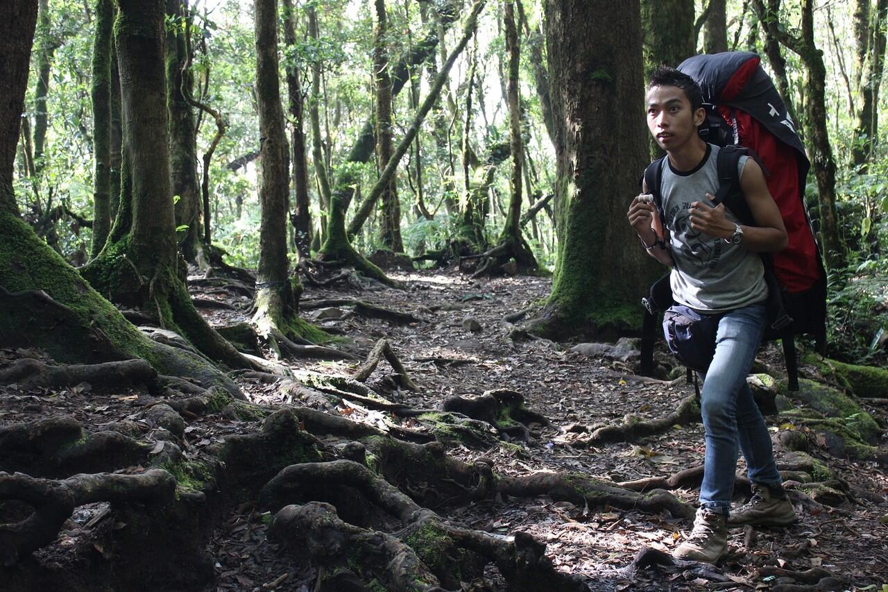 &#91;CATPER&#93; Gede-Pangrango (16-18 Mei 2012)