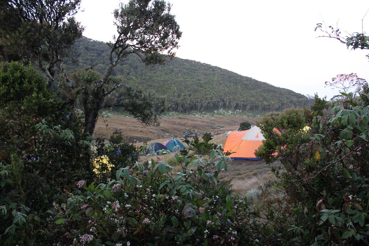 &#91;CATPER&#93; Gede-Pangrango (16-18 Mei 2012)
