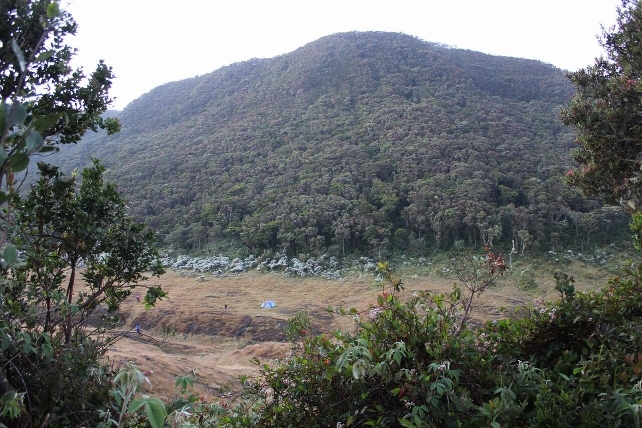 &#91;CATPER&#93; Gede-Pangrango (16-18 Mei 2012)