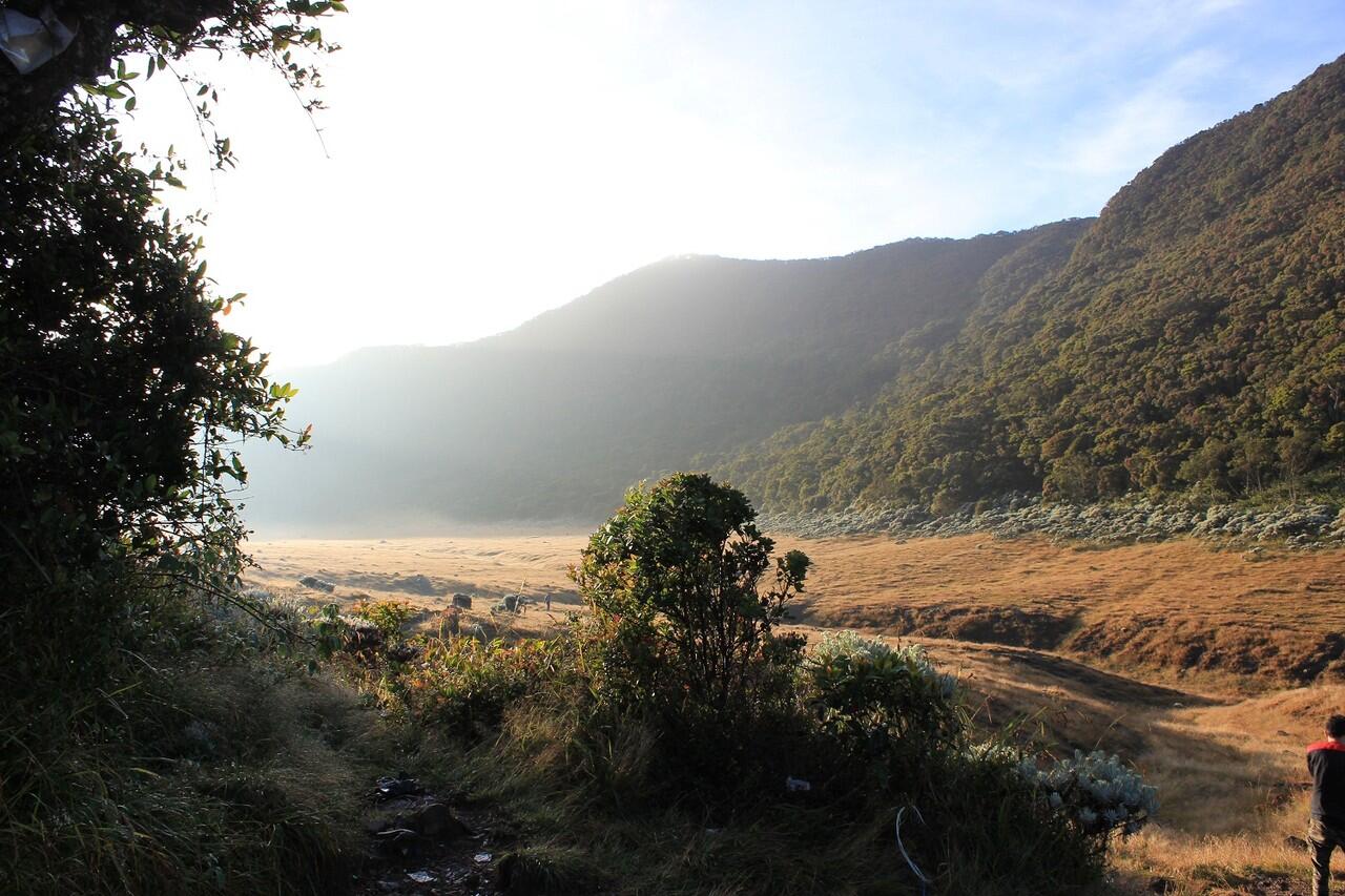 &#91;CATPER&#93; Gede-Pangrango (16-18 Mei 2012)