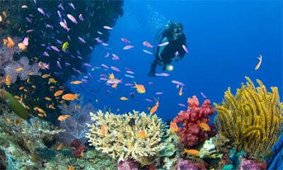 Taman laut pulau rubiah sabang