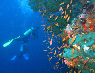 Taman laut pulau rubiah sabang