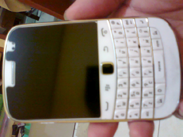 WTS Blacberry Dakota White
