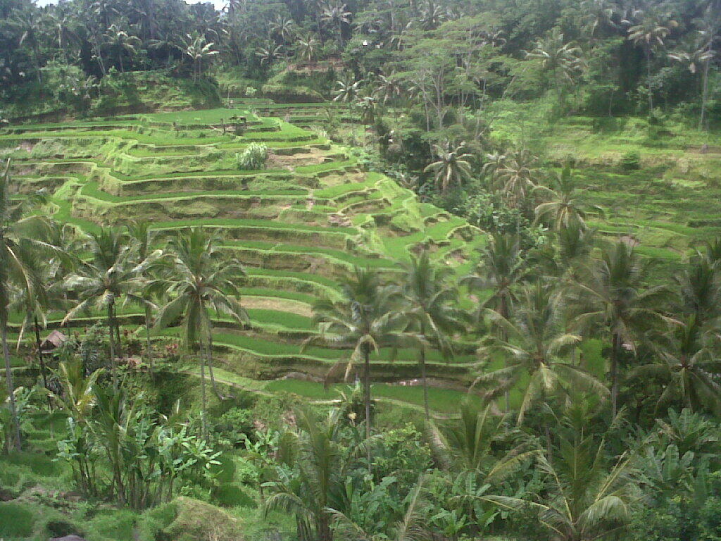 Catatan Perjalanan Solo/Backpacking Bali Lombok 6 Mar - 18 Mar 2013