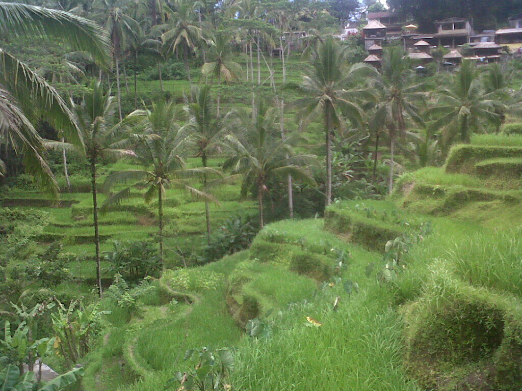 Catatan Perjalanan Solo/Backpacking Bali Lombok 6 Mar - 18 Mar 2013