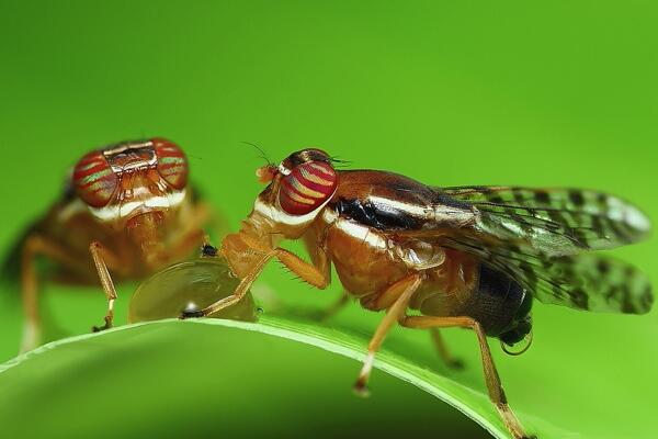 Memukau, Foto-Foto Keren Yang Diambil di Saat Yang Tepat! &#91;WITH PIC&#93; 