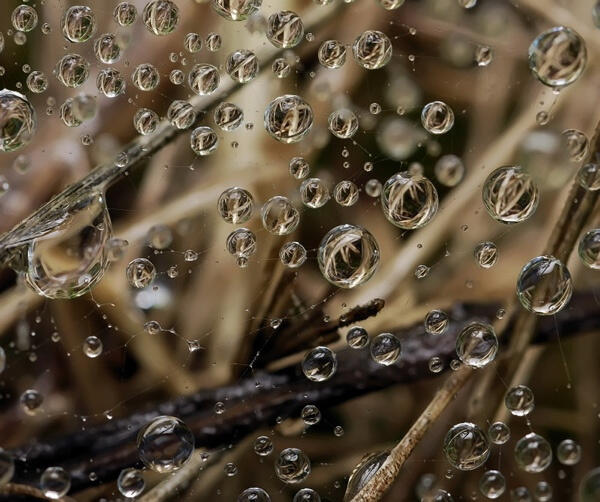 Memukau, Foto-Foto Keren Yang Diambil di Saat Yang Tepat! &#91;WITH PIC&#93; 