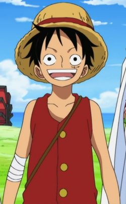 Arti Insial D di Anime &quot;One Piece&quot; (penggemar one pice masuk)