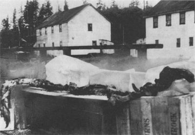 Makhluk yang dianggap sebagai Cadborosaurus terekam kamera di teluk Nushagak, Alaska