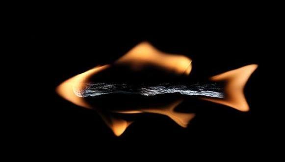 Mahluk2 yangg lahir dari korek api