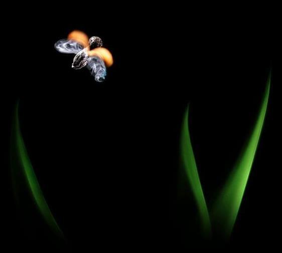 Mahluk2 yangg lahir dari korek api