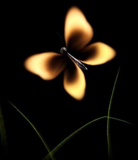 Mahluk2 yangg lahir dari korek api