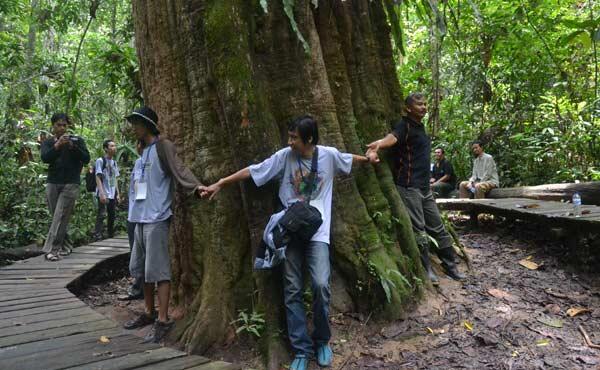 Ulin Kalimantan Terbesar di Dunia