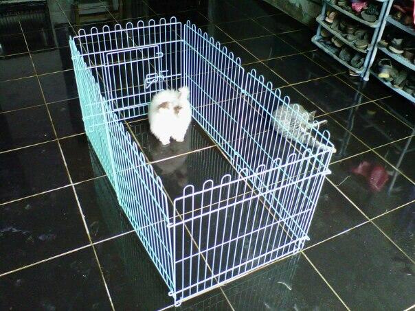 kandang pagar/umbaran untuk kelinci, kucing dan anjing