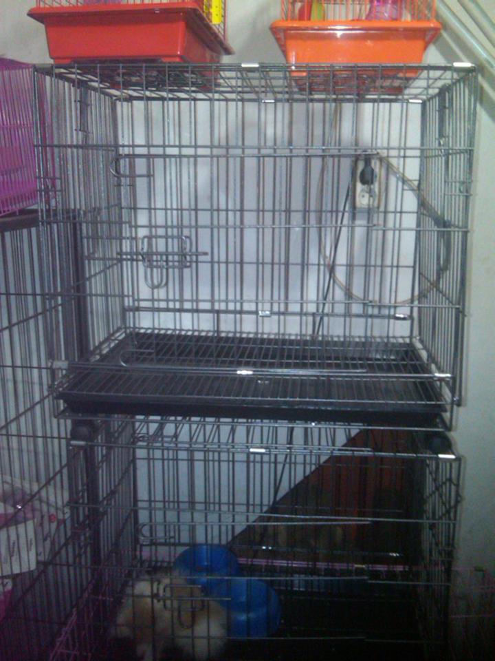 kandang merk dayang, merk biasa, boom dan octagon untuk kucing, anjing dan kelinci