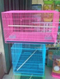 kandang kelinci, sugar glider, lovebird, iguana, guniea pig, kenari