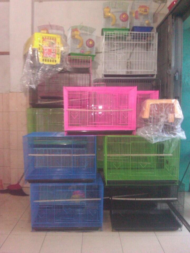 kandang kelinci, sugar glider, lovebird, iguana, guniea pig, kenari