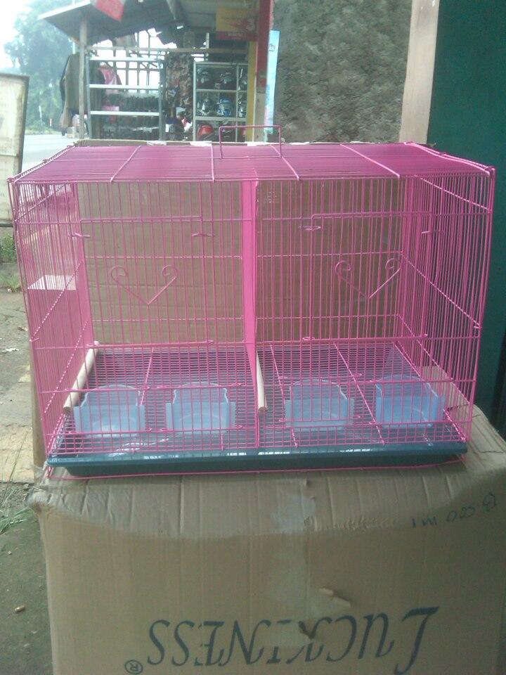 kandang kelinci, sugar glider, lovebird, iguana, guniea pig, kenari