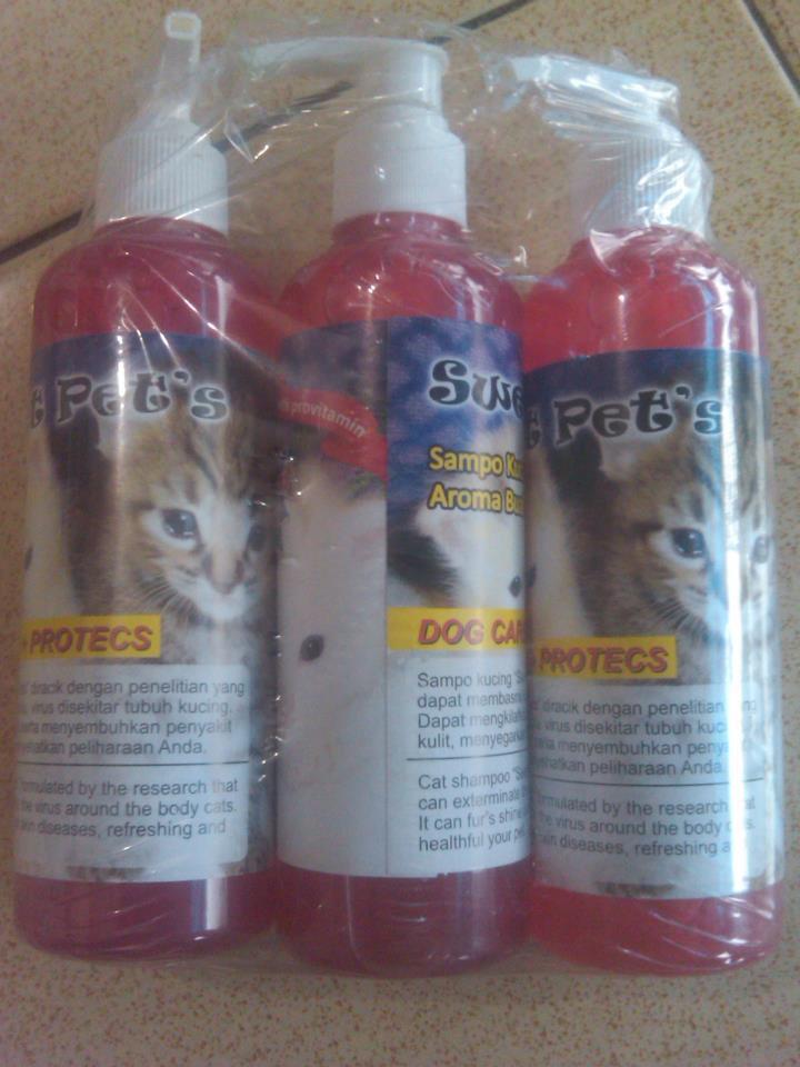 perlengkapan untuk kucing