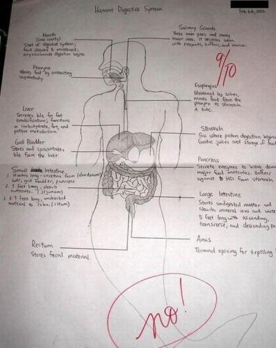 10 Jawaban Ujian Siswa Kalau Udah Putus Asa .... Asli Bikin Ngakakkk