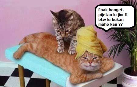 kumpulan poto lucu menurut saya ne. wkwkwkkwk