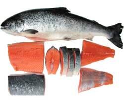 Manfaat Iklan Salmon Untuk kesehatan