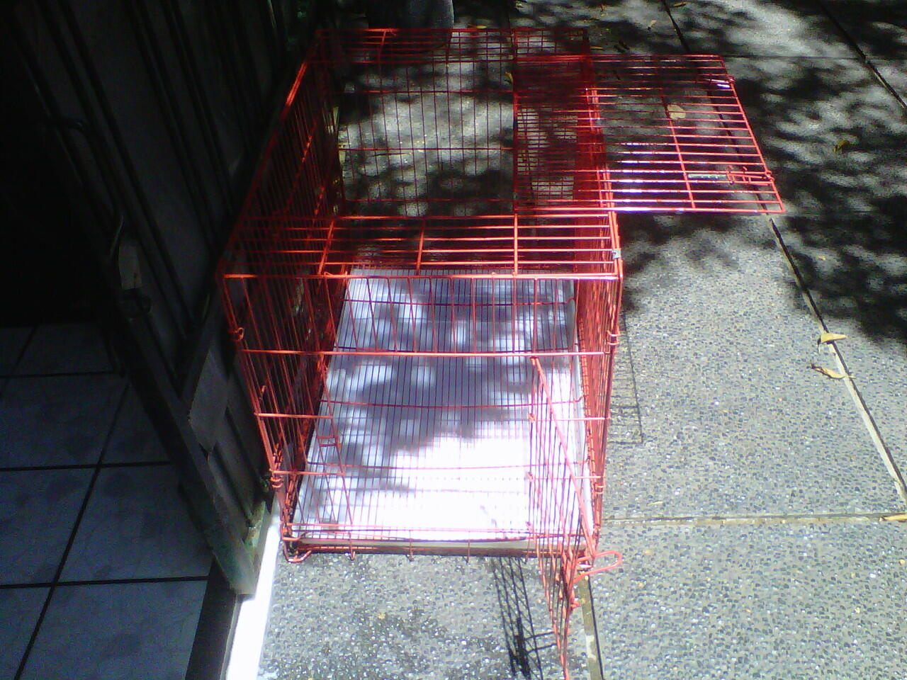 JUAL CEPAT KANDANG ANJING BISA DILIPAT, MASIH MULUS