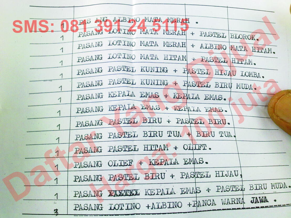 17 Pasang Lovebird Dewasa (banyak jenis)