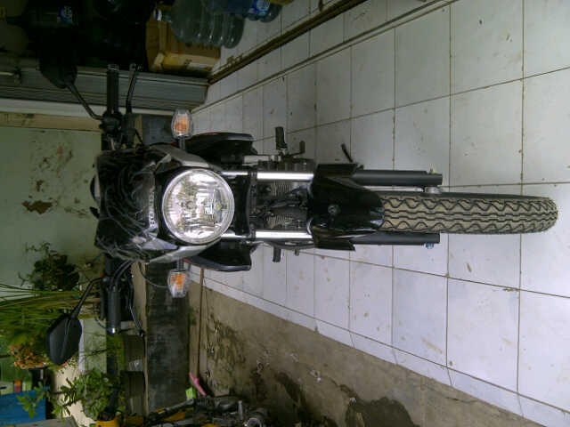 Jual Motor Tiger