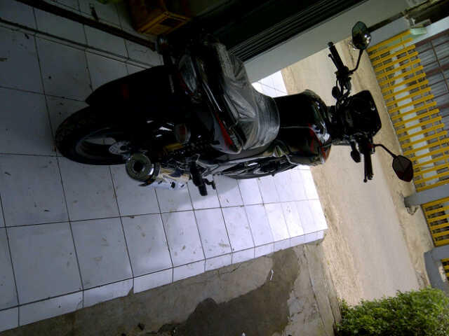 Jual Motor Tiger