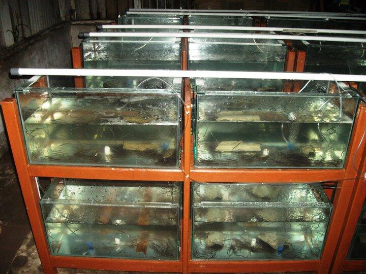 Jual aquarium MURAH MERIAH