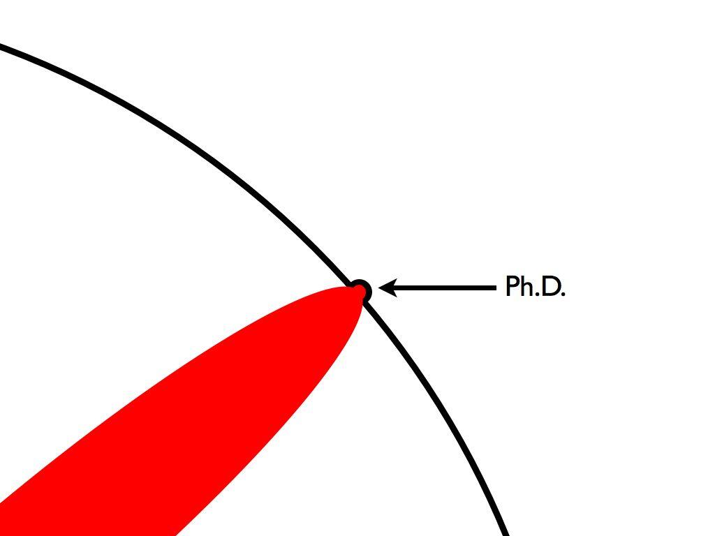 The illustrated guide to a Ph.D.