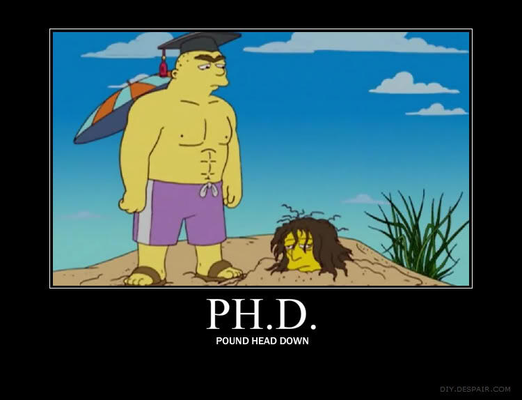 The illustrated guide to a Ph.D.