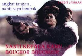 korban iklan cat bocor bocor