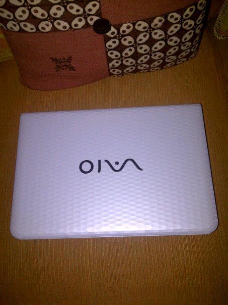 SONY VAIO E SERIES VPCEG35EG