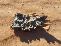 Inilah,Bentuk ciptaan petir = Fulgurite!!