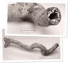 Inilah,Bentuk ciptaan petir = Fulgurite!!