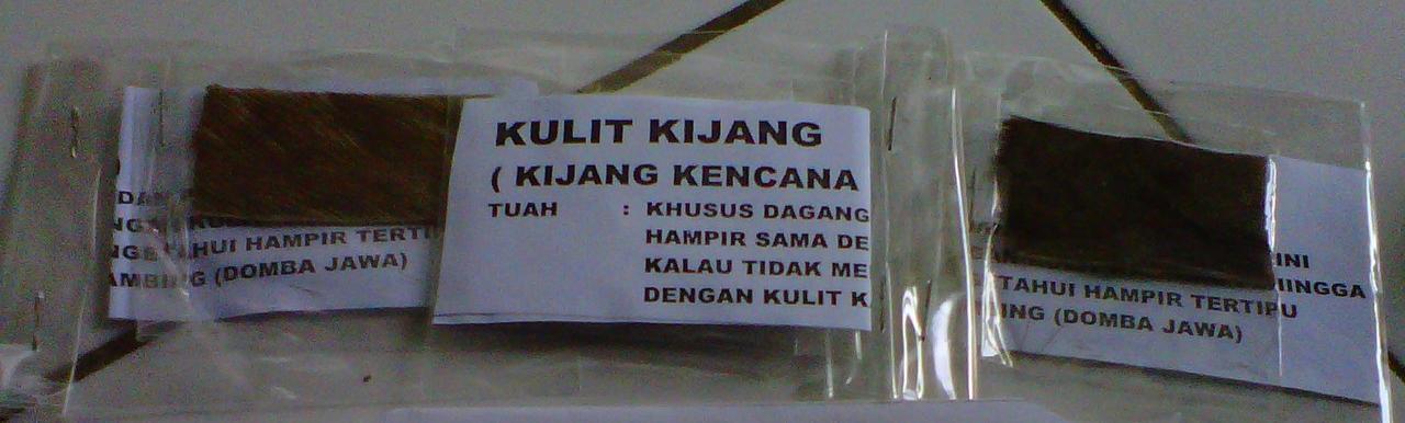 Jual Bulu Perindu Online: Antara Mitos, Bisnis, dan Etika