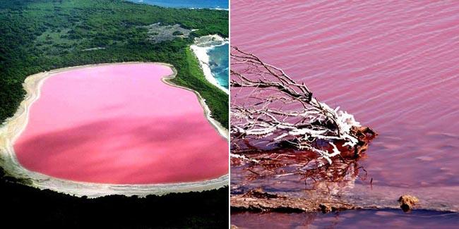  Danau Pink Alami Ini Sangat Cantik dan Romantis